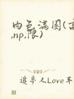 肉色满园(高h,np,限)