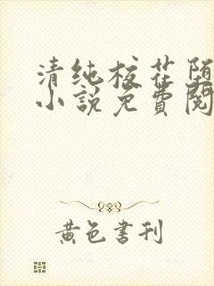 清纯校花堕落记小说免费阅读