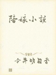 陪嫁小说
