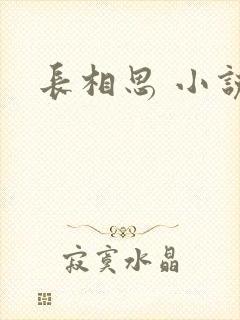 长相思 小说