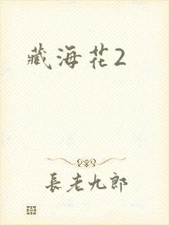 藏海花2