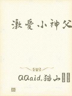 激爱小神父