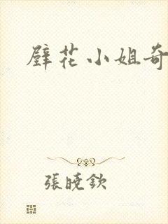 壁花小姐奇遇记