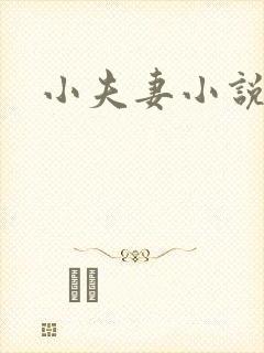 小夫妻小说
