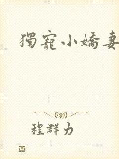 独宠小娇妻