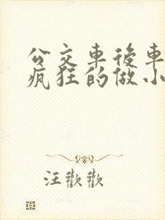 公交车后车座的疯狂的做小