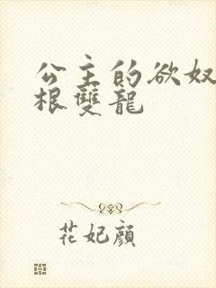 公主的欲奴h四根双龙