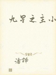 九星之主小说