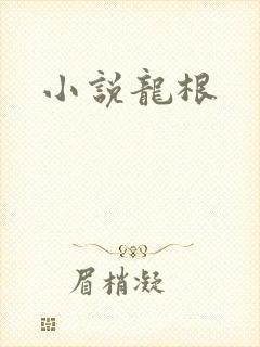 小说龙根