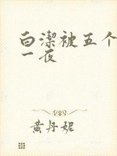 白洁被五个人玩一夜