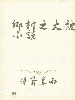 乡村之大被同眠小说