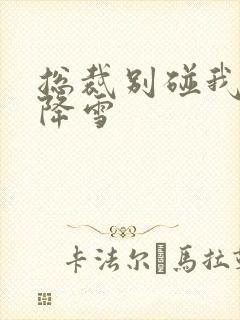 总裁别碰我 韩降雪