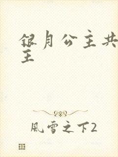 银月公主共享公主