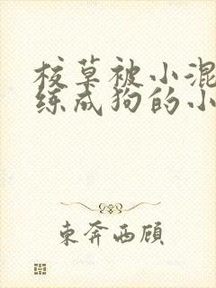 校草被小混混训练成狗的小说