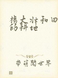 杨大壮和田桂花的耕地