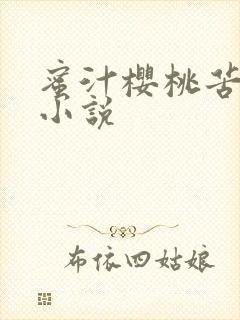 蜜汁樱桃苦咖啡小说