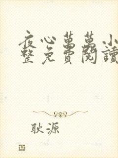 夜心万万小说完整免费阅读全文