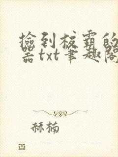 捡到校霸的遥控器txt笔趣阁