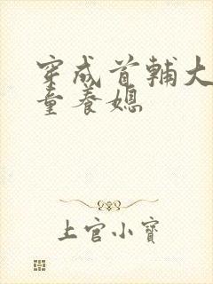 穿成首辅大人的童养媳