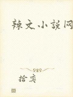 辣文小说网