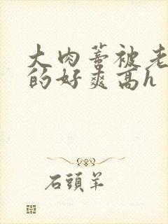 大肉蒂被老头嘬的好爽高h