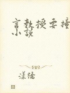 言教授要撞坏了小说