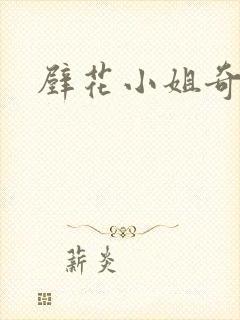 壁花小姐奇遇记