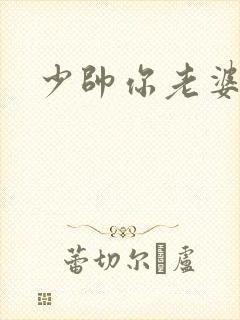少帅你老婆