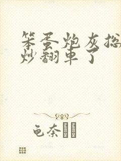 笨蛋炮灰总被爆炒翻车了