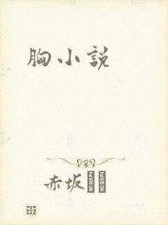 胸小说