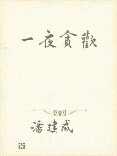 一夜贪欢