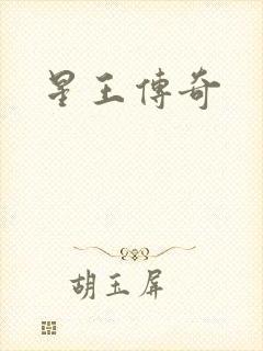 星王传奇