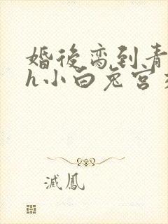 婚后脔到青梅哭h小白兔宫交h