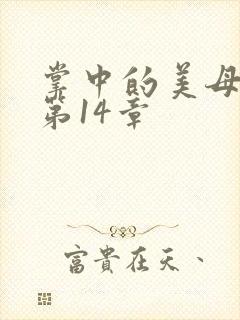 掌中的美母版主第14章