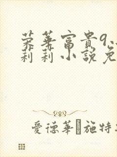 荣华富贵9小王莉莉小说免费阅读