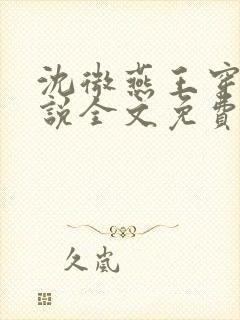 沈微燕王穿越小说全文免费阅读