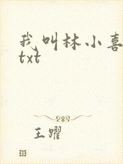 我叫林小喜小说txt