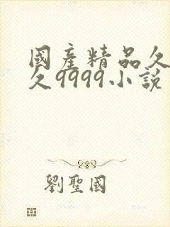 国产精品久久久久9999小说