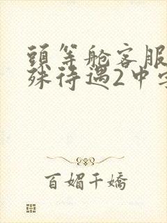 头等舱客服的特殊待遇2中字