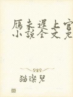 雁未迟上官穿越小说全文免费阅读