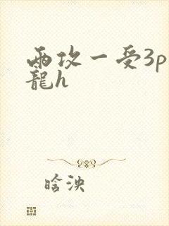 两攻一受3p双龙h