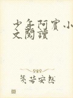 少年阿宾小说全文阅读