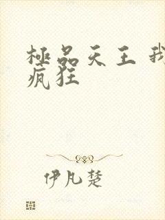 极品天王 我本疯狂
