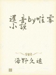 迟音by唯雾的小说