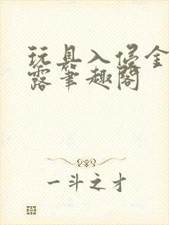 玩具入侵金银花露笔趣阁