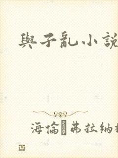 与子乱小说
