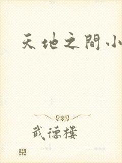 天地之间小说