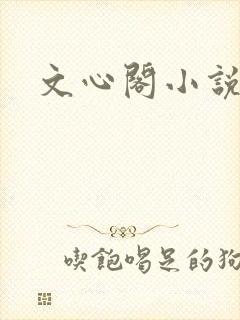 文心阁小说