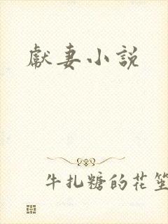 献妻小说
