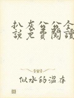 扒灰公公全部小说免费阅读全文